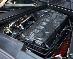 C8 Corvette Engine Cover for LT2 Engine Coupe - Manufactured by Carbon Fiber